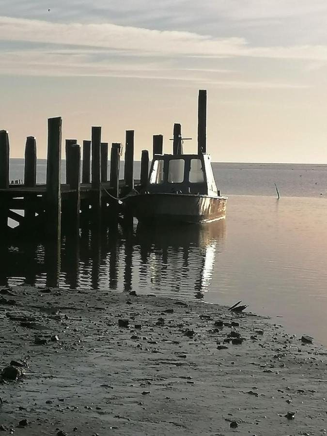 Bed and Breakfast Dock10Texel Де-Коксдорп Экстерьер фото